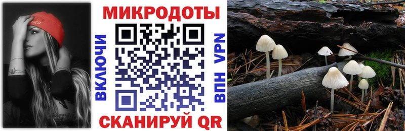 Галлюциногенные грибы прущие грибы  Купить  Скопин 